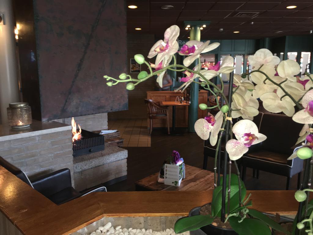 Appartement Ut & Thus, Resort Amelander Kaap Hollum  Exterior foto